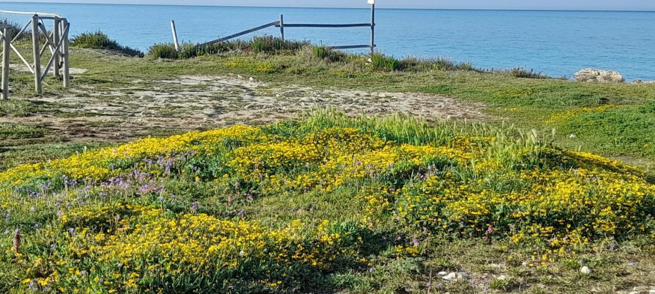 Вілла Villino Il Melograno Торре-Спеккія-Рудджері Екстер'єр фото
